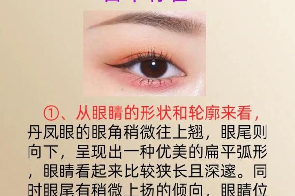 什么样的眼睛命最好？揭秘眼睛与命运的奇妙关系！