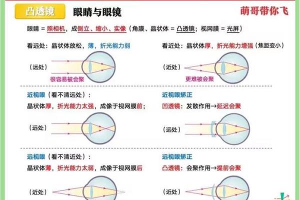 什么样的眼睛命最好？揭秘眼睛与命运的奇妙关系！