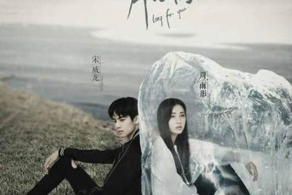 《我拼了命保护你：爱的誓言与心灵的守护》