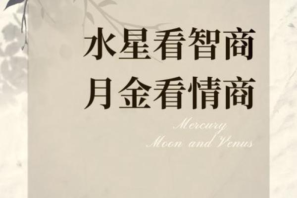 石榴木命人的生意选择:智商与情商并重的成功之道 石榴木命人的生意选择:智商与情商并重的成功之道