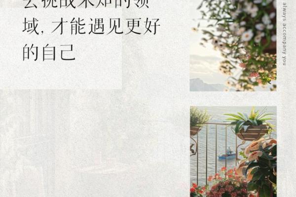 命运与无畏：在纷扰中找到自我真谛的智慧