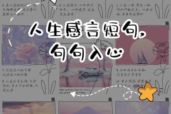 命如草木，贱命何妨：我的人生感悟