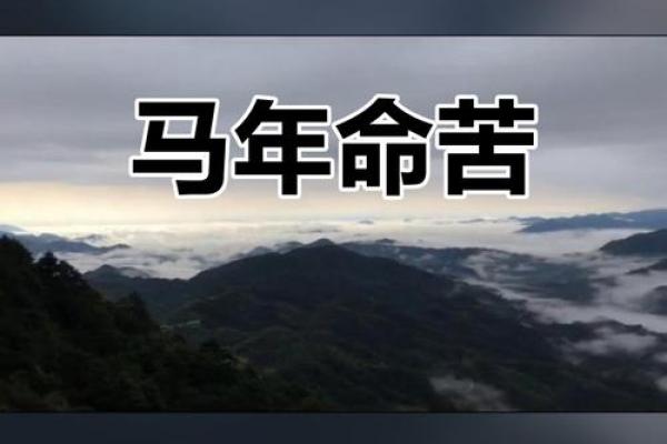 属马人凌晨4点出生，命运中的机遇与挑战探秘