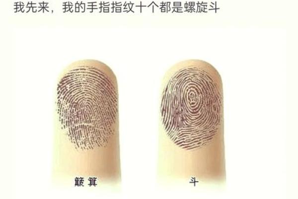 手指9个簸箕揭秘：你的人生命运如何？