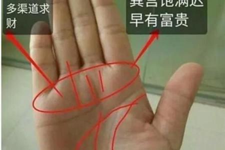 手指纹的秘密：没有螺旋的命运与人生启示