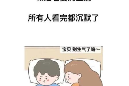 如何理解“老婆命”：生活中的方方面面与幸福感的秘密