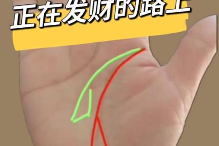 不同头型的财富命理解析，揭示发财的秘密与路径！