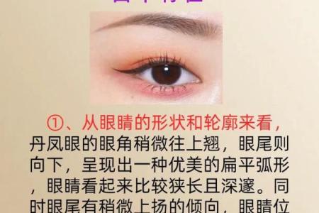 什么样的眼睛命最好？揭秘眼睛与命运的奇妙关系！