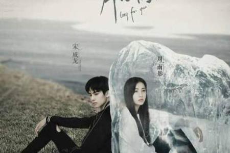 《我拼了命保护你：爱的誓言与心灵的守护》