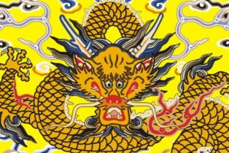 1988年出生的人命运解析：揭示生肖龙的神秘与力量