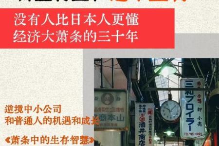 山头火与路旁土命：智慧与机遇的结合之道