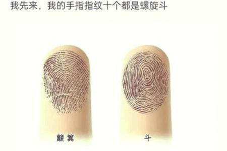 手指9个簸箕揭秘：你的人生命运如何？