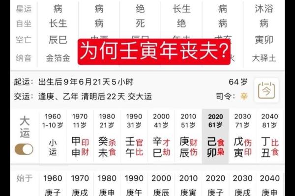 壬寅年正月命理解析:运势与人生的启示 壬寅年正月命理解析:运势与人生的启示