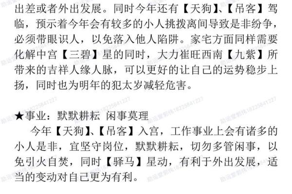 揭秘四十八岁虎的五行命理：生辰与运势的深度解析