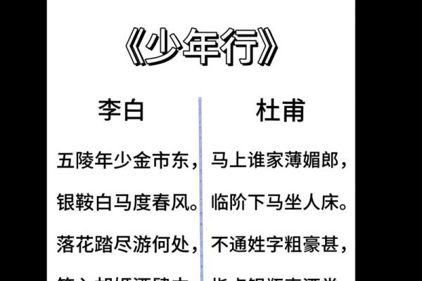谁识渭阳命世雄，探寻古诗的魅力与人生智慧