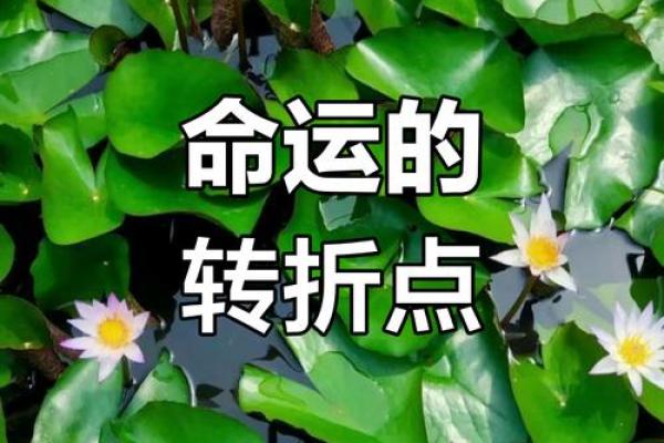 命运的领航：如何在生活中找到自我与希望