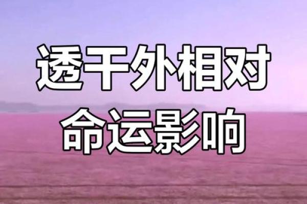 解读“却杀入命”的深层含义与人生启示