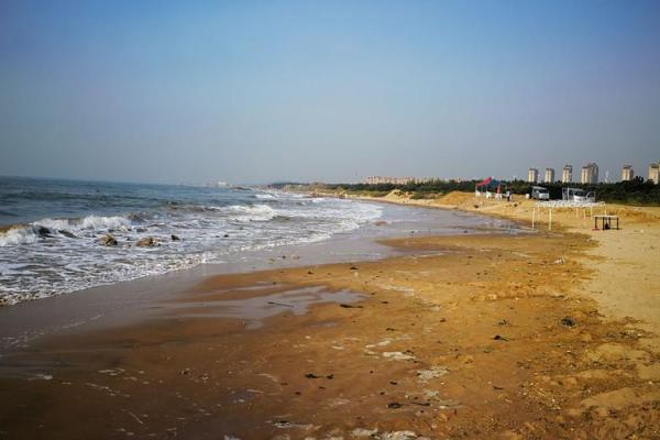 命名之道：探究莫语嫣的命理与人生轨迹