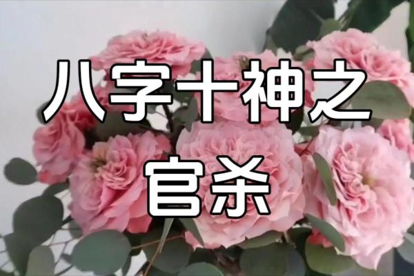女命八字无官杀的深层解读：好运与挑战的双重交响曲