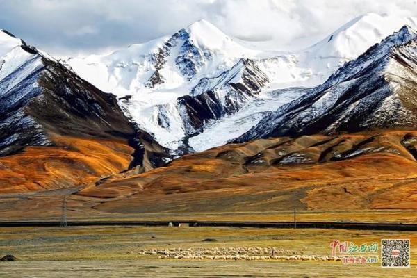 山下火鸡命里缺什么：解密生活中的隐性能量与和谐之道