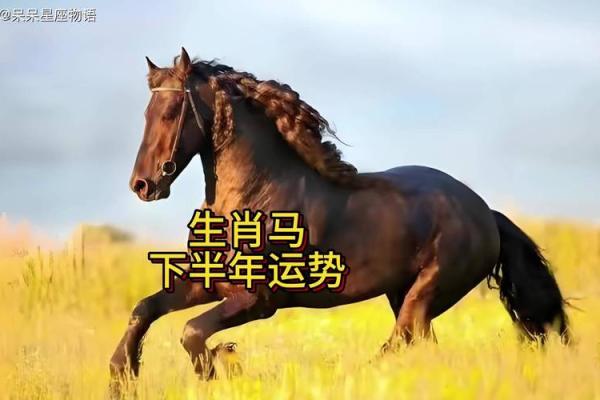 属马人的命运与性格特征探析：如风般自由，勇往直前！