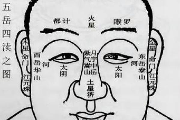 男人鼻孔向外是什么命？揭秘鼻相学中的命理玄机！