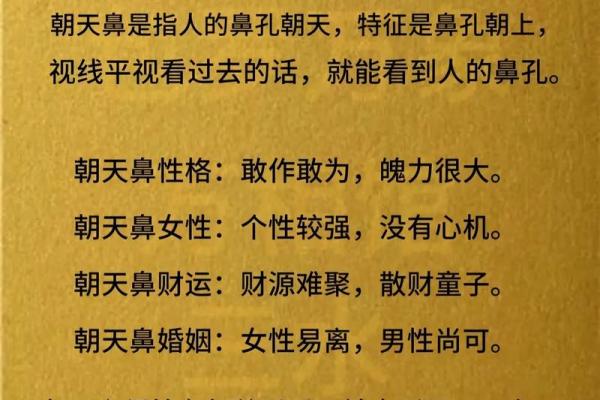 男人鼻孔向外是什么命？揭秘鼻相学中的命理玄机！