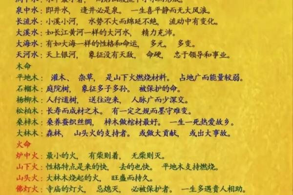 沙中土命与其他命的和谐共生探秘 沙中土命与其他命的和谐共生探秘