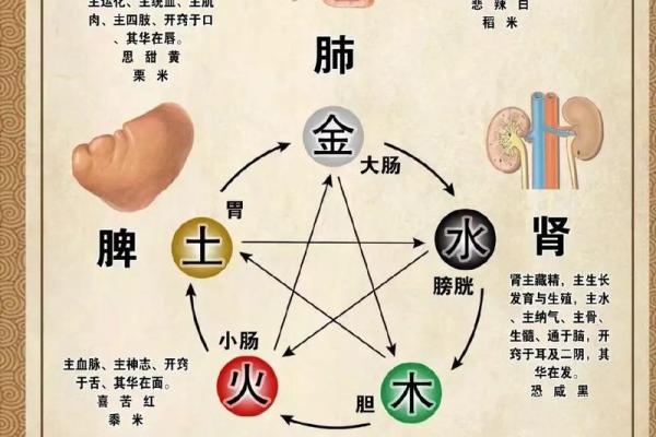 山头火命与土命的最佳搭配与和谐关系