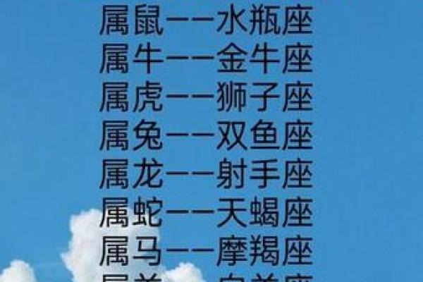 揭示男人属什么生肖命最好，探讨生肖背后的命运玄机