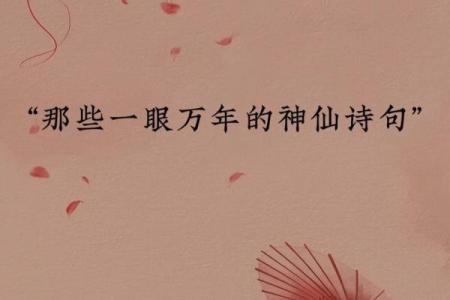 谁识渭阳命世雄，探寻古诗的魅力与人生智慧