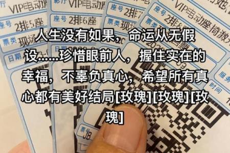 三一八女命：解析她们的命运与人生轨迹