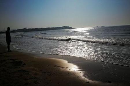 命名之道：探究莫语嫣的命理与人生轨迹