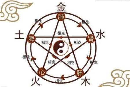 木命人五行缺火，如何调整命格与运势？