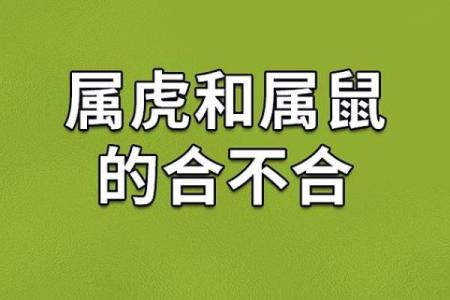 三十九岁属鼠，如何解读你的命运与未来发展