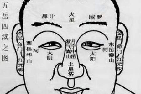 男人鼻孔向外是什么命？揭秘鼻相学中的命理玄机！