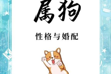 属狗之命：探索狗年出生者的命运与个性特征