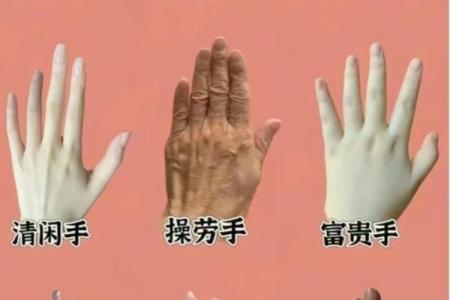 手掌大小与命运：小手指的男人命人生涯揭秘