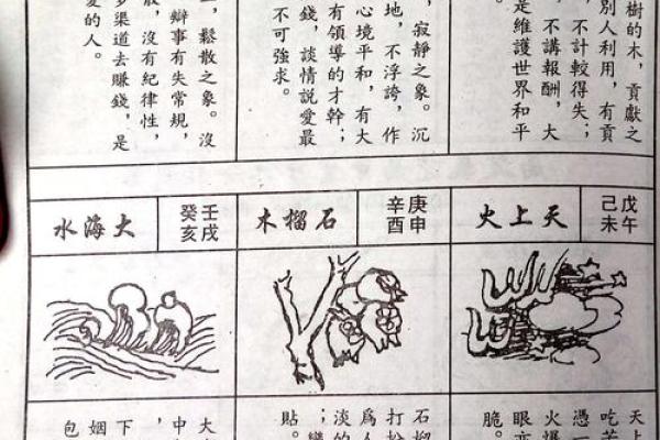 石榴木命人的职业选择:探索适合你的天赋与机会 石榴木命人的职业选择:探索适合你的天赋与机会