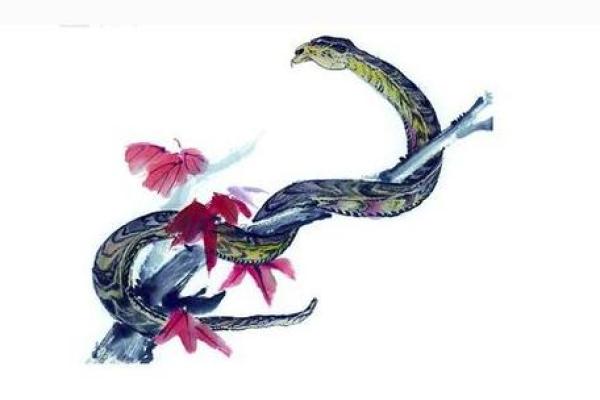 属蛇女人：甜美长相背后的命运揭秘