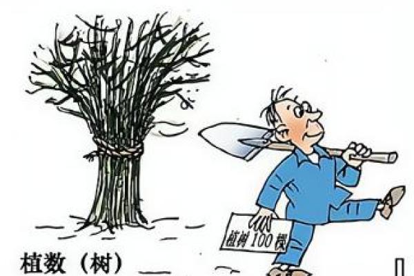 男命申辰见癸暗合的深刻解读与启示