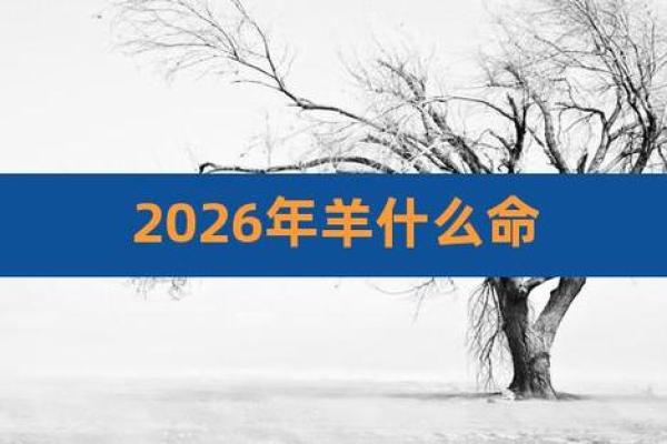 属羊之人为何被称为“二夫之命”？探秘命理背后的故事与意义