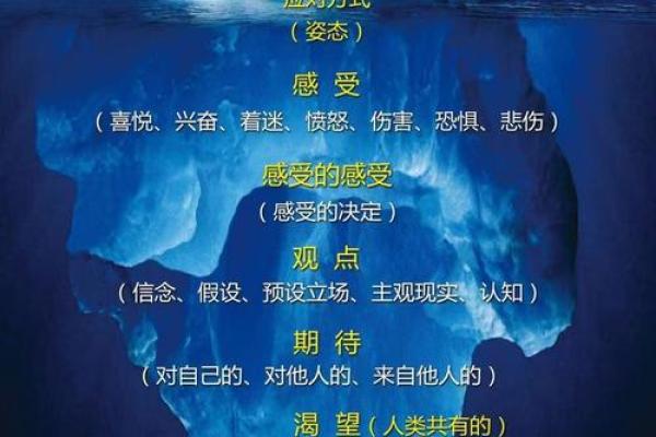 生来死去九条命,探寻生命的多重可能性与价值 生来死去九条命,探寻生命的多重可能性与价值