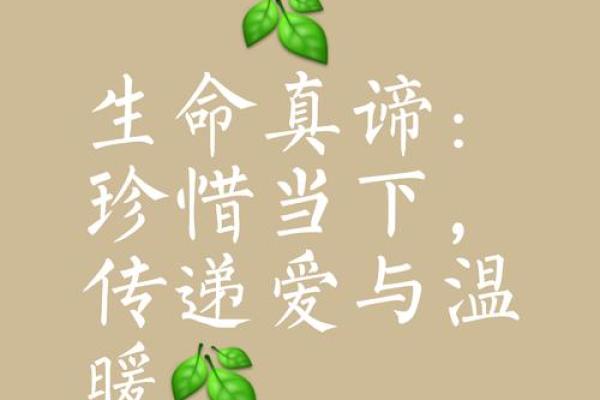 入土三分命——解读生命的意义与归属