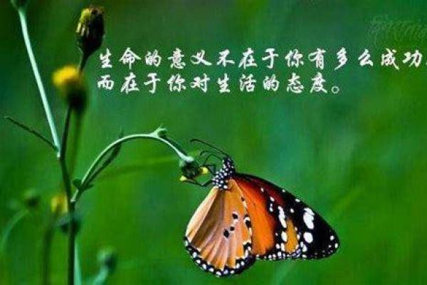 入土三分命——解读生命的意义与归属