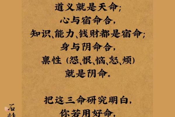 揭开三元命绝命气场之谜，寻觅命理生活的智慧