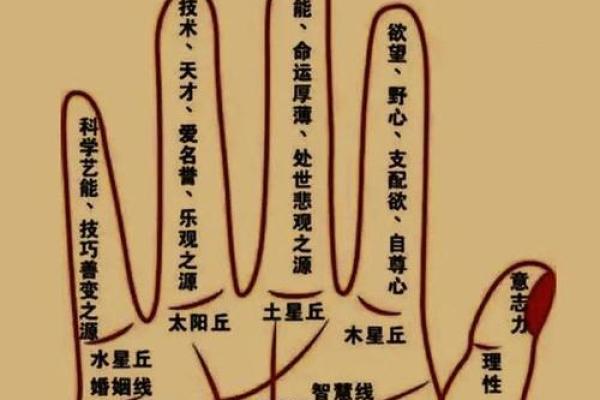 十月属鼠出生的命运解析:探寻财富与智慧之道 十月属鼠出生的命运解析:探寻财富与智慧之道