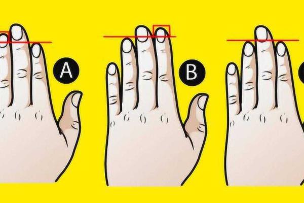 根据手指头长度看命运,揭示你的人生密码! 根据手指头长度看命运,揭示你的人生密码!