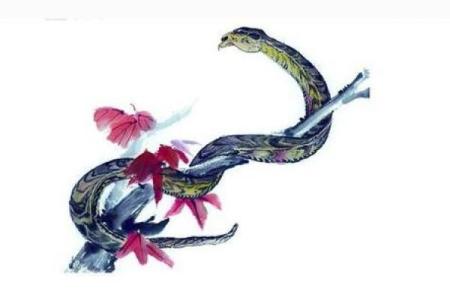 属蛇女人：甜美长相背后的命运揭秘