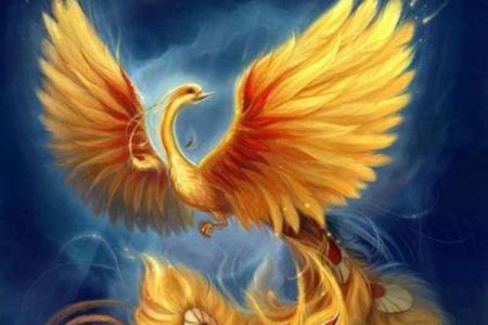 揭示凤凰命的特征：什么样的女人才能成为逆天而飞的凤凰？